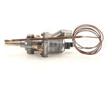 2T-Z13362 Wells Thermostat