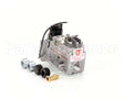 2V-80505-01 Lang Comb Valve Gas Grid