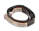 3.1.04.01.003 Spaceman Usa Electric-20 Pin Ribbon Cable