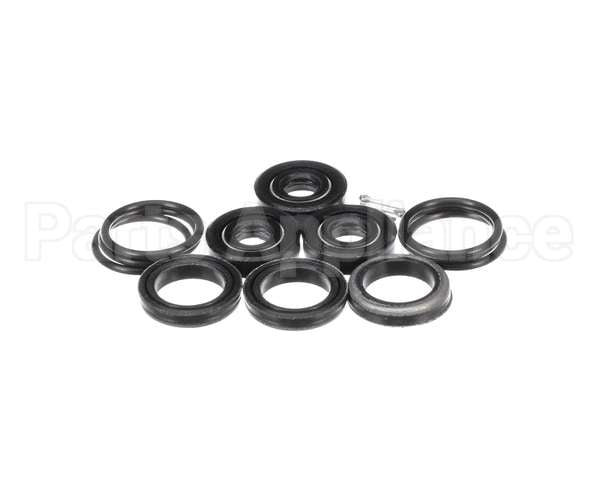 300-3603 Spray Master Seal Kit, Pump 2.2 & 2.9 Gpm, Cat