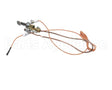 3000013480 Jade Pilot W Electrode & Thermocoup