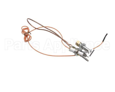 3000013480 Jade Pilot W Electrode & Thermocoup