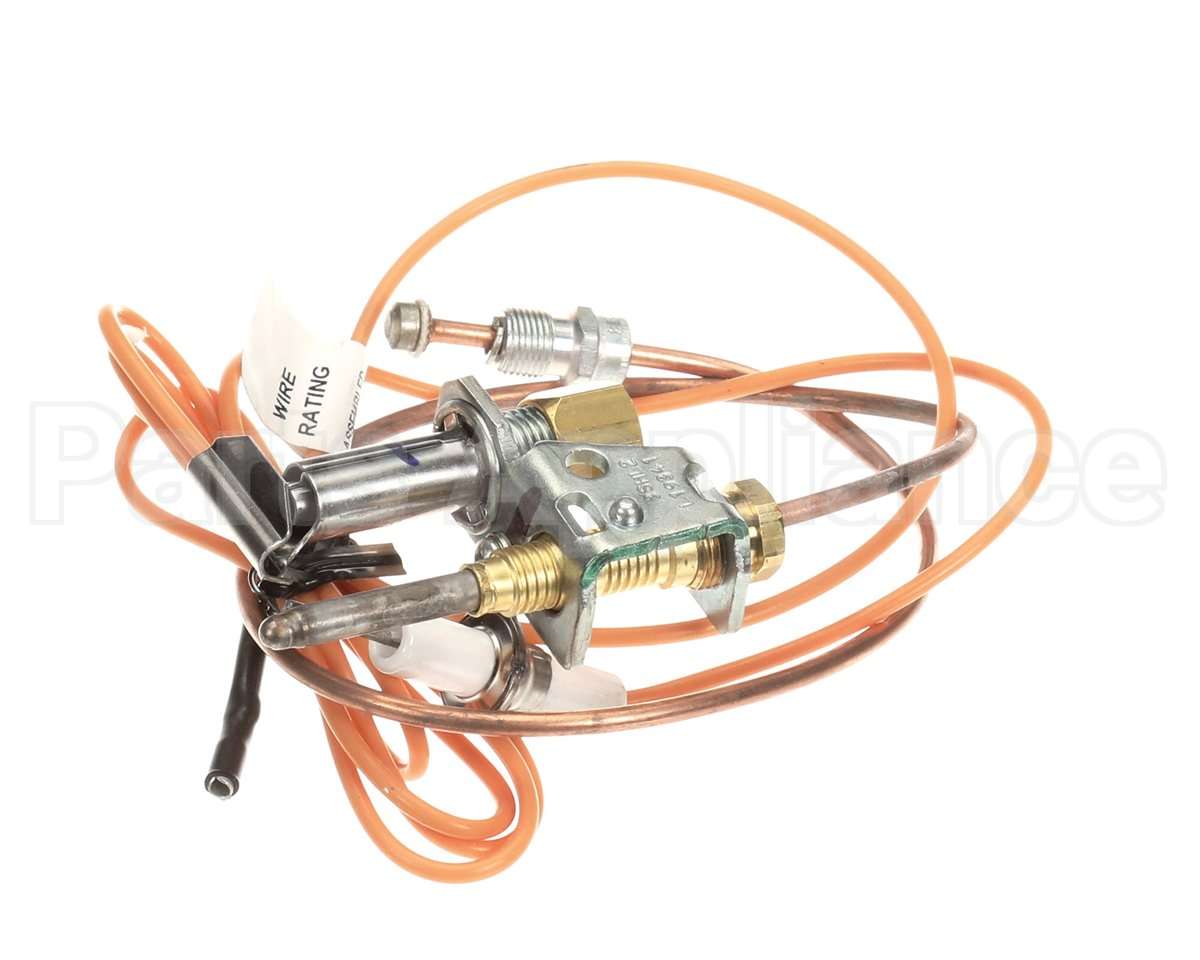 3000014113 Jade Pilot W/Elect&Thermo Assy