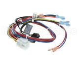 300982 Frymaster Wire Harness, Util.conn.