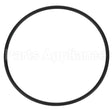 307119 Compatible Everpure O-Ring