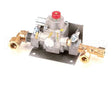 30769-6 Montague Safety Valve Assembly-Lt (24362460