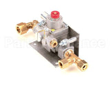 30769-6 Montague Safety Valve Assembly-Lt (24362460