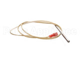30857 Blodgett Probe,Rtd 500 Ohm T1648