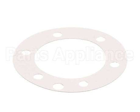 XP1011 Globe Fiber Gasket (Xvga/Xvsa)