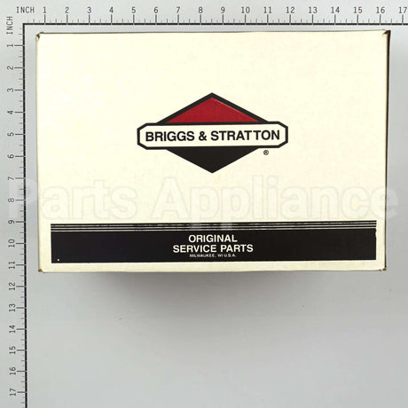 311966GS Briggs & Stratton Pump