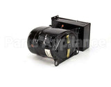 312-082D Beverage Air Compressor 115V 60Hz R404A 2890 Btu Tec