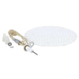 31251 Compatible Blodgett Ignitor