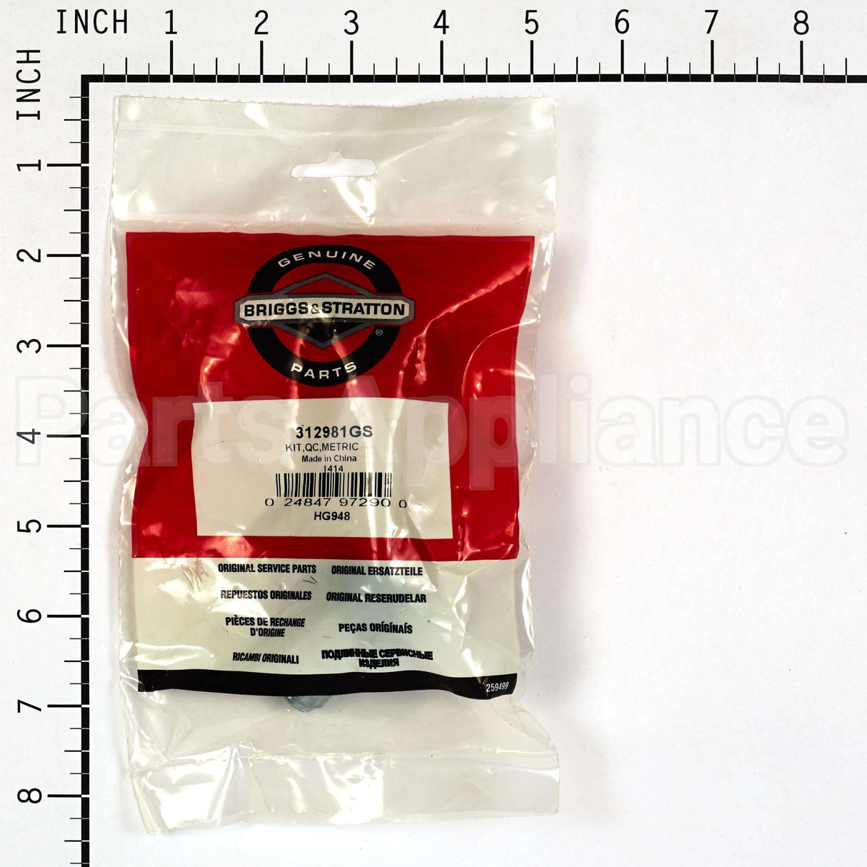 312981GS Briggs & Stratton Kitqcmetric