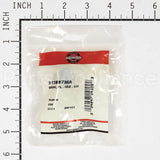 313887MA Briggs & Stratton Brng Fl . Idx . Od
