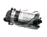 3149 Cornelius Pump / Mot 230V 50/60 Hz