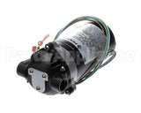 3149 Cornelius Pump / Mot 230V 50/60 Hz