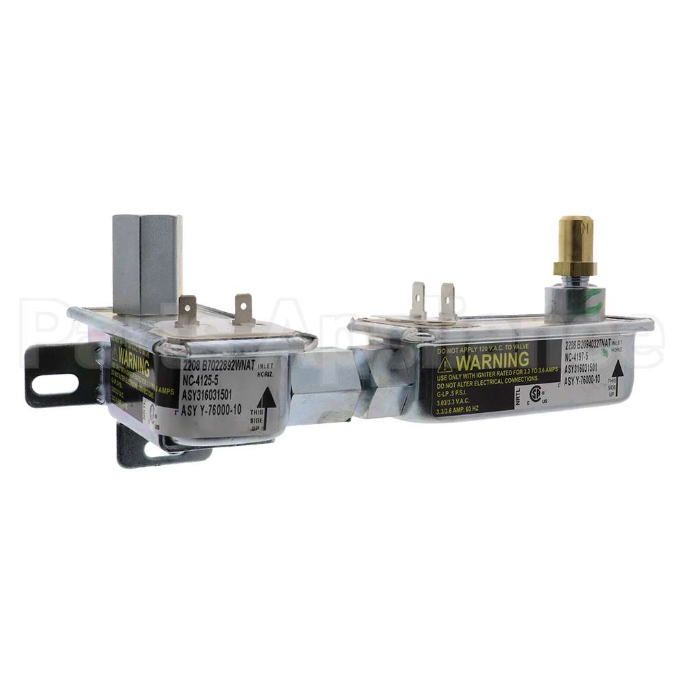 316031501 Safety Valve Compatible