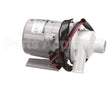 316043A09 Hoshizaki Pump (60Hz/50Hz)