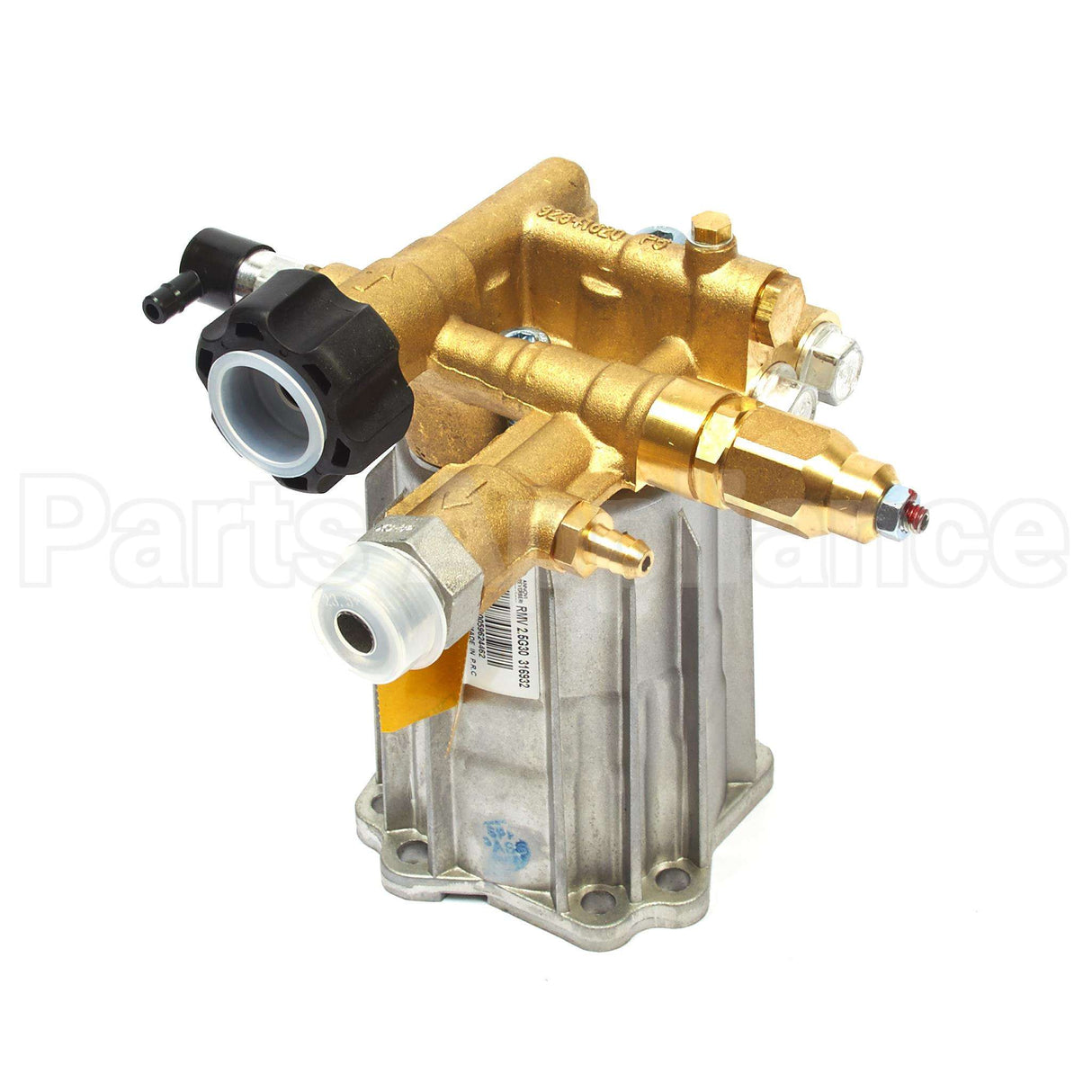317054GS Briggs & Stratton Pump