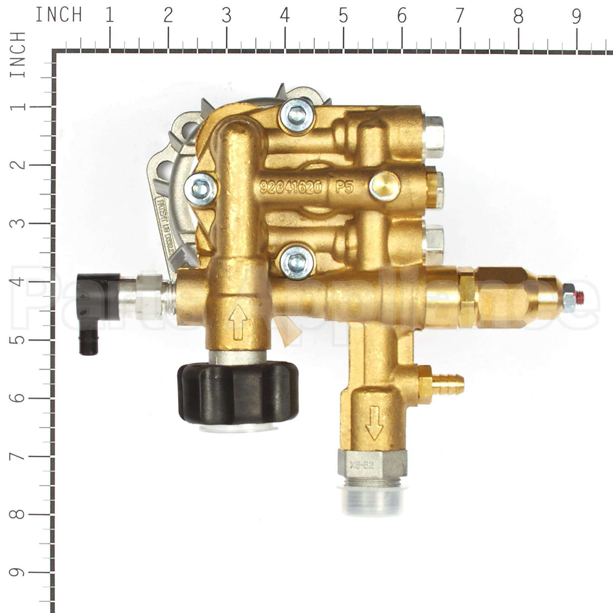 317054GS Briggs & Stratton Pump