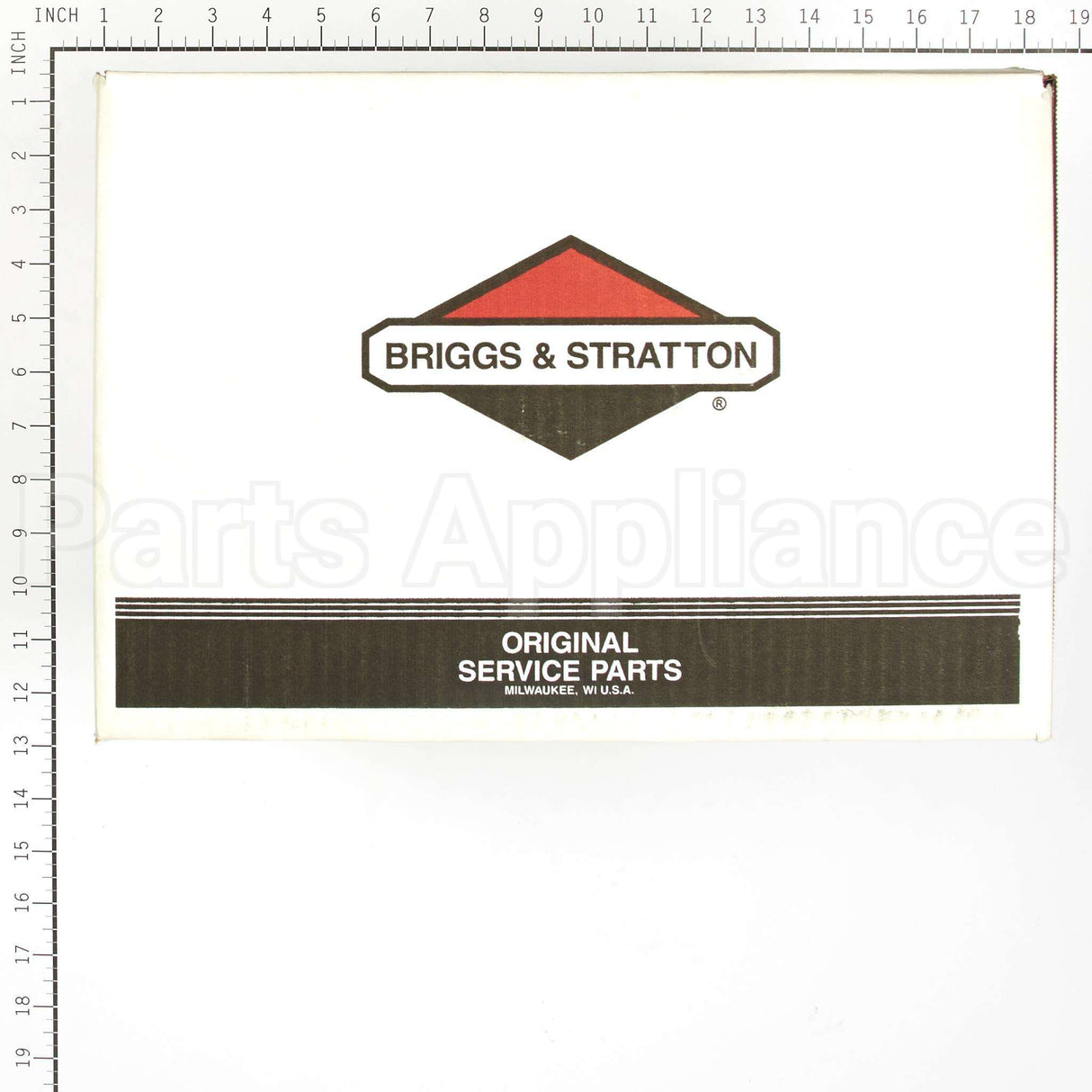 317055GS Briggs & Stratton Pump