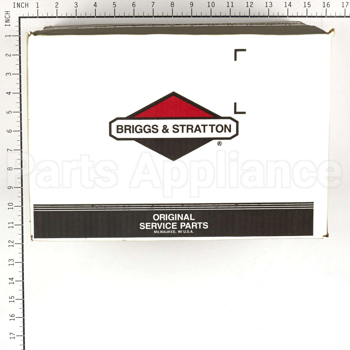 317142GS Briggs & Stratton Pump