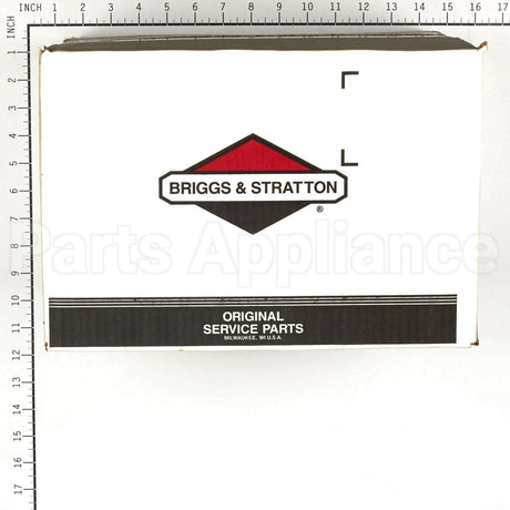 317142GS Briggs & Stratton Pump