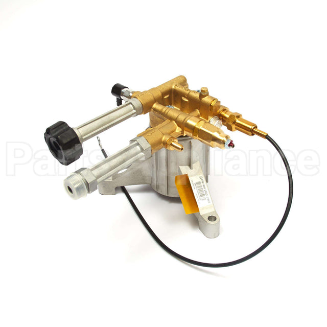 317259GS Briggs & Stratton Pump