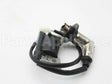 317436GS Briggs & Stratton Coil-Ignition
