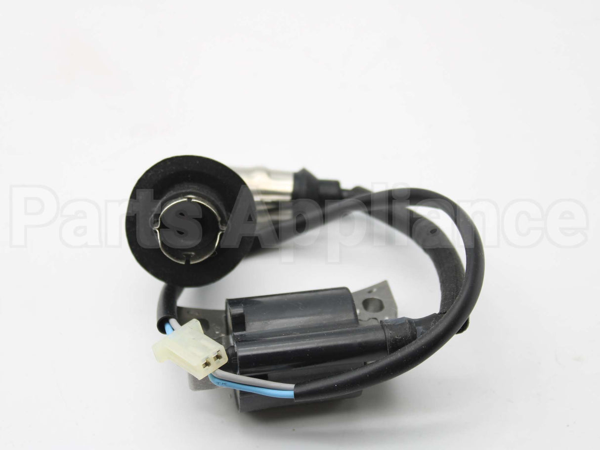 317436GS Briggs & Stratton Coil-Ignition