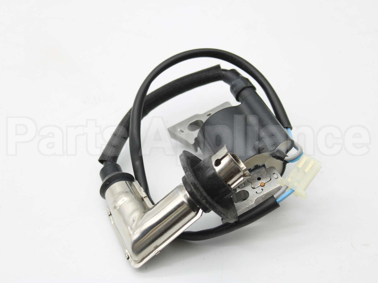 317436GS Briggs & Stratton Coil-Ignition