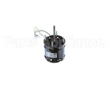 318872 Accurex Motor, Chikee, S33G382Xb-01