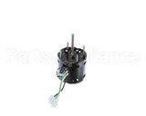 318872 Accurex Motor, Chikee, S33G382Xb-01