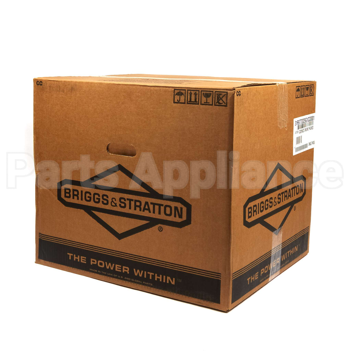 31R977-0029-G1 Briggs & Stratton Engine Packed Single Carton