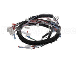 32263.0008 Bunn Wiring Harness, Main Ultra Nx