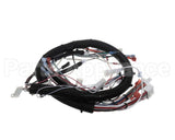 32263.0008 Bunn Wiring Harness, Main Ultra Nx