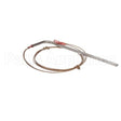 32289 Compatible Blodgett Probe, Rtd 500Ohm Rt Ang Le