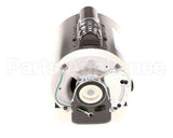 329333 Accurex Motor,56,Nidec 1893