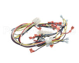33075 Blodgett Harness, Control 208/240 Kfc