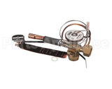 331709-752 Bryant Payne Kit Valve Txv Replacement