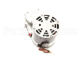 33404 Cornelius Motor Gear 1/4 230/5/6 Xxxxxxx