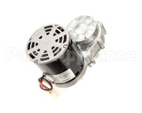 33404 Cornelius Motor Gear 1/4 230/5/6 Xxxxxxx