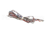 33634.0040 Bunn Wiring Harn,Main- Dual Sh
