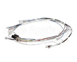 34055.0000 Bunn Wiring Harness, Cbdc - Dv