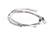 34055.0000 Bunn Wiring Harness, Cbdc - Dv