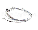 34055.0000 Bunn Wiring Harness, Cbdc - Dv