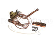 340620-704 Carrier Txv Kit