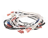 343-00144 Grindmaster Cecilware Wire Harness