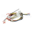 34435 Compatible Blodgett Harness, Iq Ctrl Ctbkfc