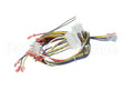 34435 Blodgett Harness,Iq Control Ctbkfc